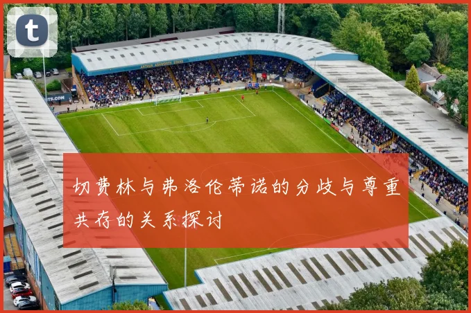 切费林与弗洛伦蒂诺的分歧与尊重共存的关系探讨