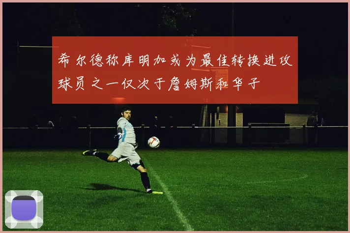 希尔德称库明加或为最佳转换进攻球员之一仅次于詹姆斯和华子