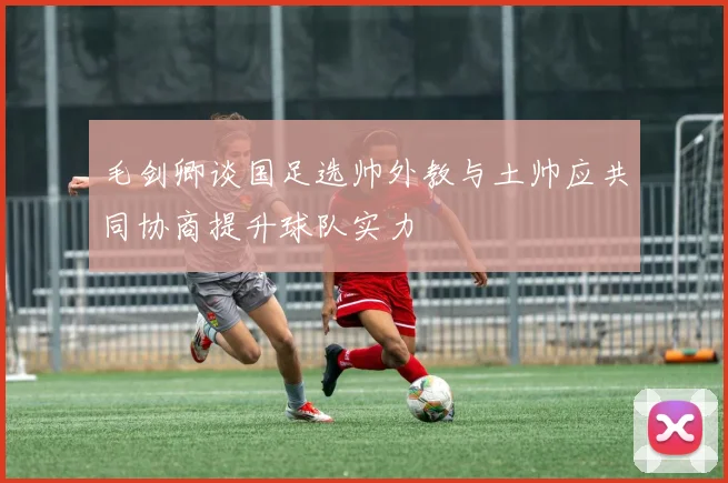 毛剑卿谈国足选帅外教与土帅应共同协商提升球队实力