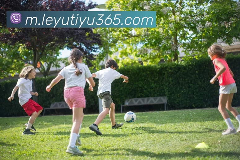 乐鱼体育平台生态图