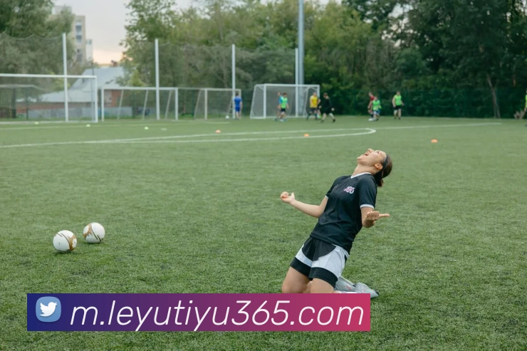 乐鱼体育APP 封面图